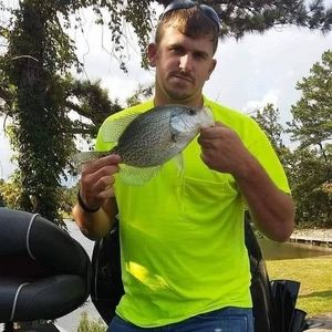 Meet your Posher, Paula